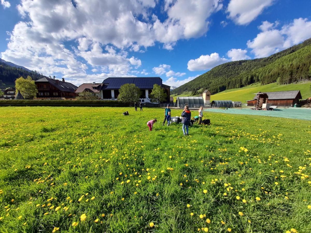 Sonnenchalet Neusess Mauterndorf  Ngoại thất bức ảnh